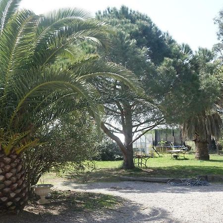 Mas Du Roc Saint-Nazaire (Pyrenees-Orientales) Exterior foto
