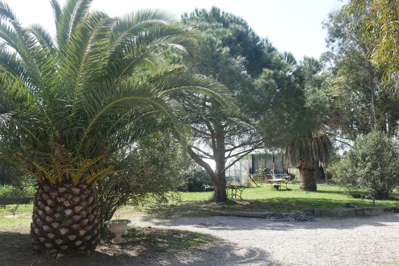 Mas Du Roc Saint-Nazaire (Pyrenees-Orientales) Exterior foto